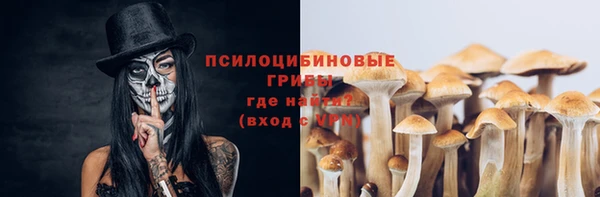 спиды Пестово