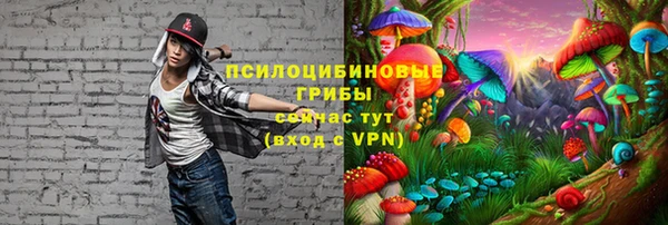ALPHA-PVP Карпинск