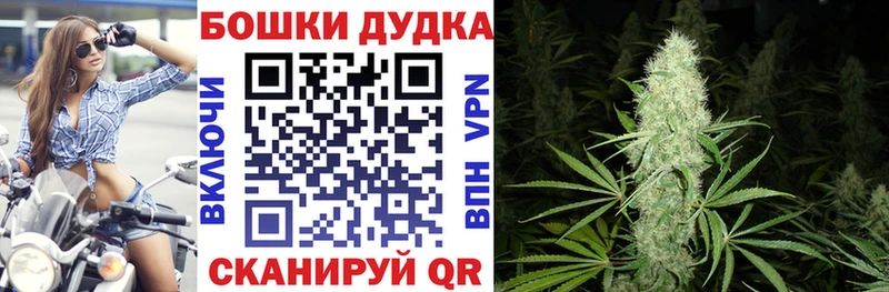МАРИХУАНА план  Алапаевск 